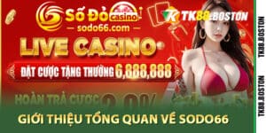 Giới thiệu tổng quan về Sodo66